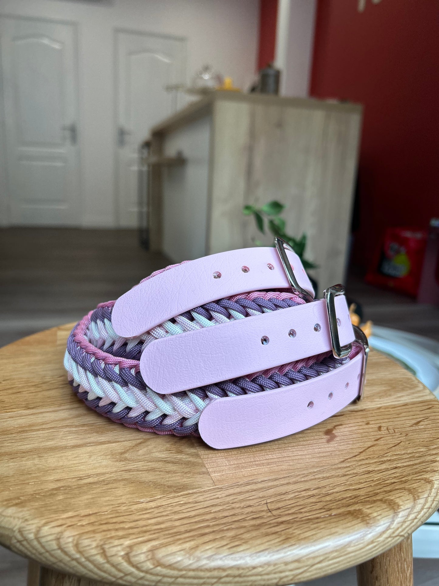 COLLIER POUR CHIEN - Bonnie rose