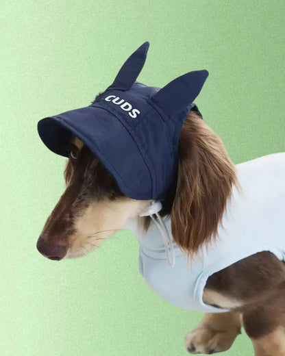 Casquette Lapin - Petit chien
