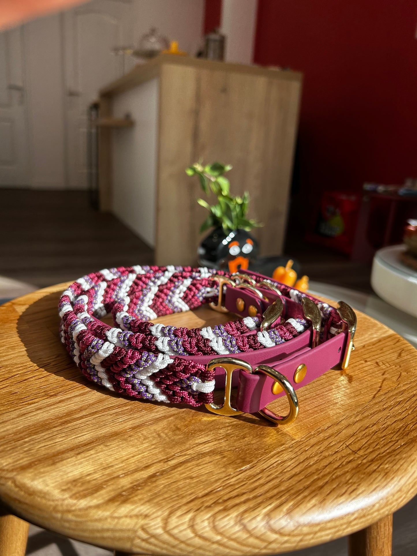 COLLIER POUR CHIEN - Opale bordeaux