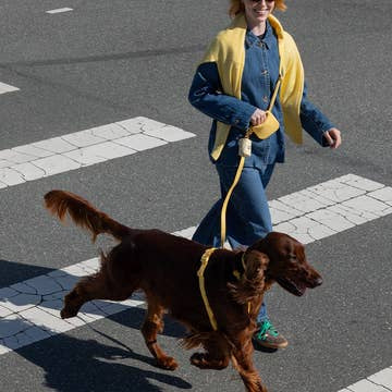 HARNAIS IMPERMÉABLE - Jaune