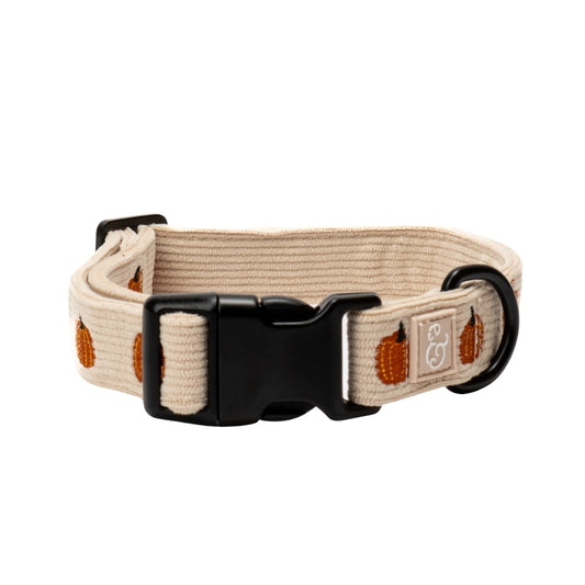 COLLIER EN VELOUR BEIGE - Citrouille