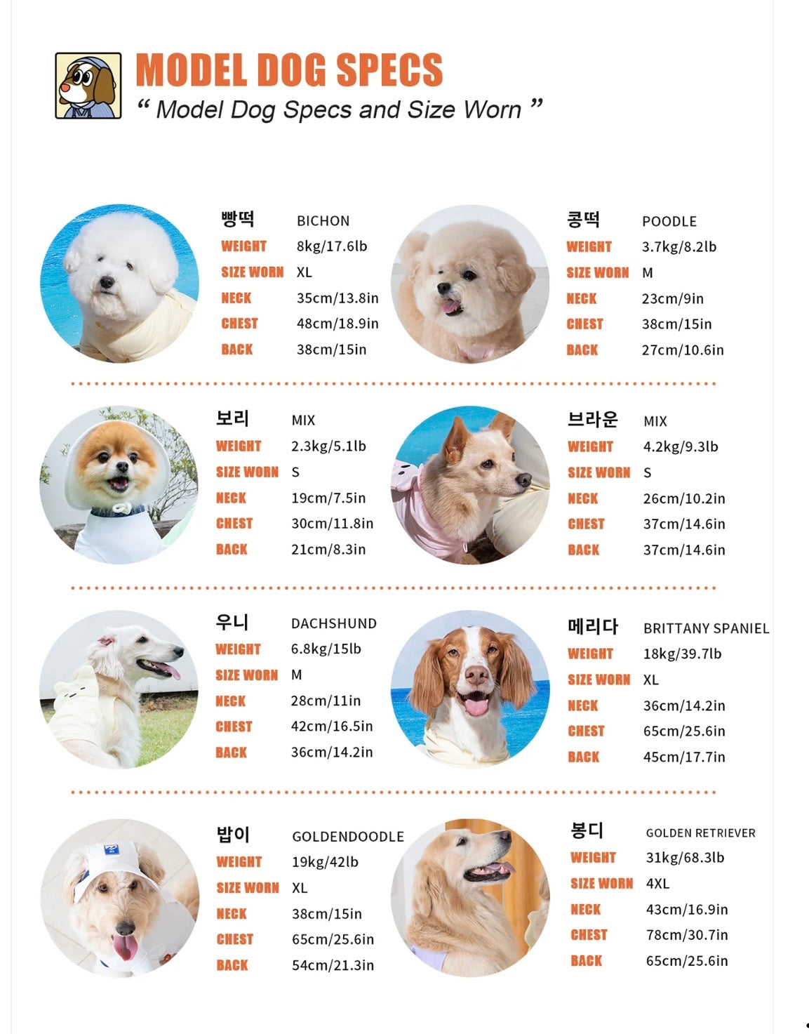 BOB RAFRAÎCHISSANT POUR CHIEN - 3 couleurs