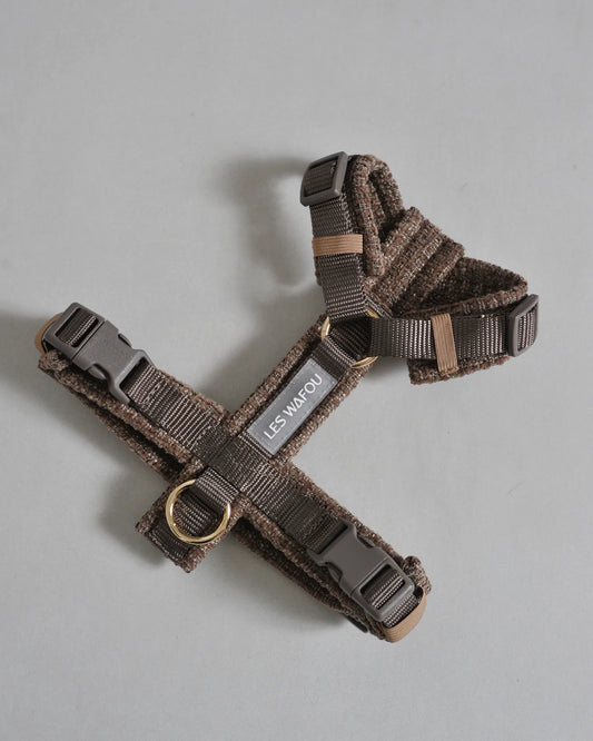 HARNAIS EN TWEED - Taupe