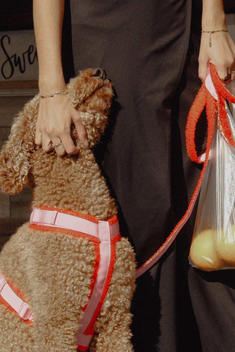 HARNAIS POUR CHIEN SHERPA - Cayu