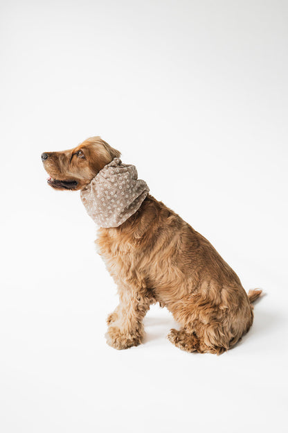 SNOOD EN COTON - fleur beige