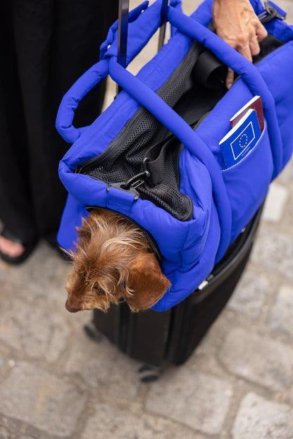 SAC DE VOYAGE POUR CHIENS ET CHATS - Bleu électrique