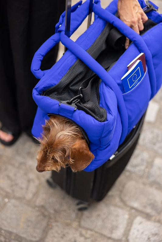 SAC DE VOYAGE POUR CHIENS ET CHATS - Bleu électrique