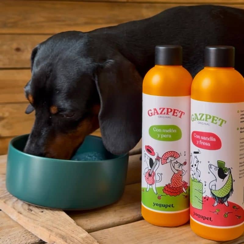 GASPACHO POUR CHIEN - Pastèque et Fraise