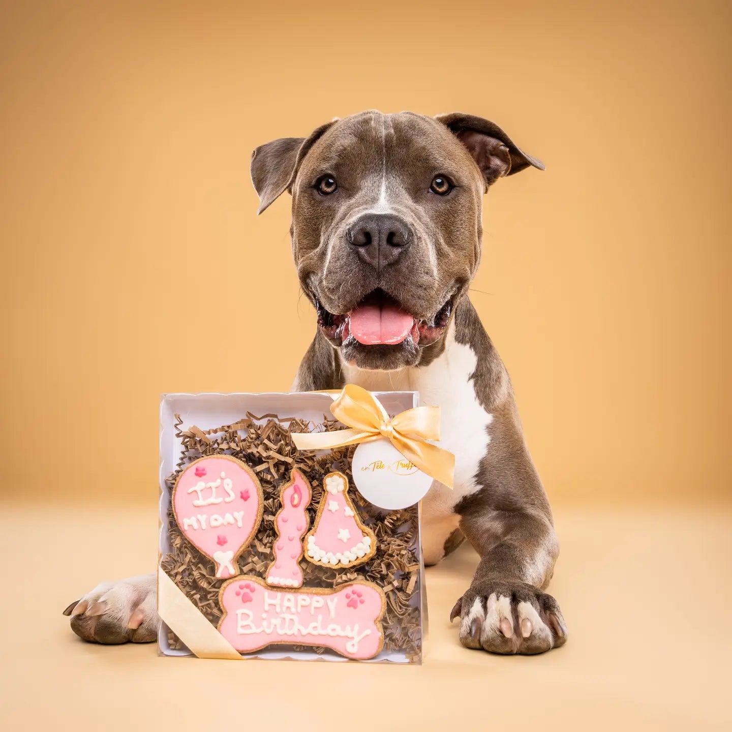 BOX ANNIVERSAIRE - 4 Biscuits Glacés Artisanaux