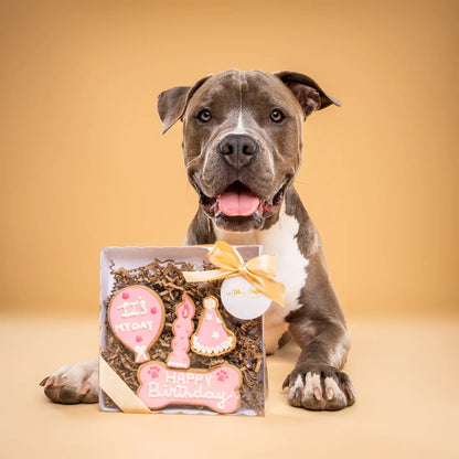 BOX ANNIVERSAIRE - 4 Biscuits Glacés Artisanaux