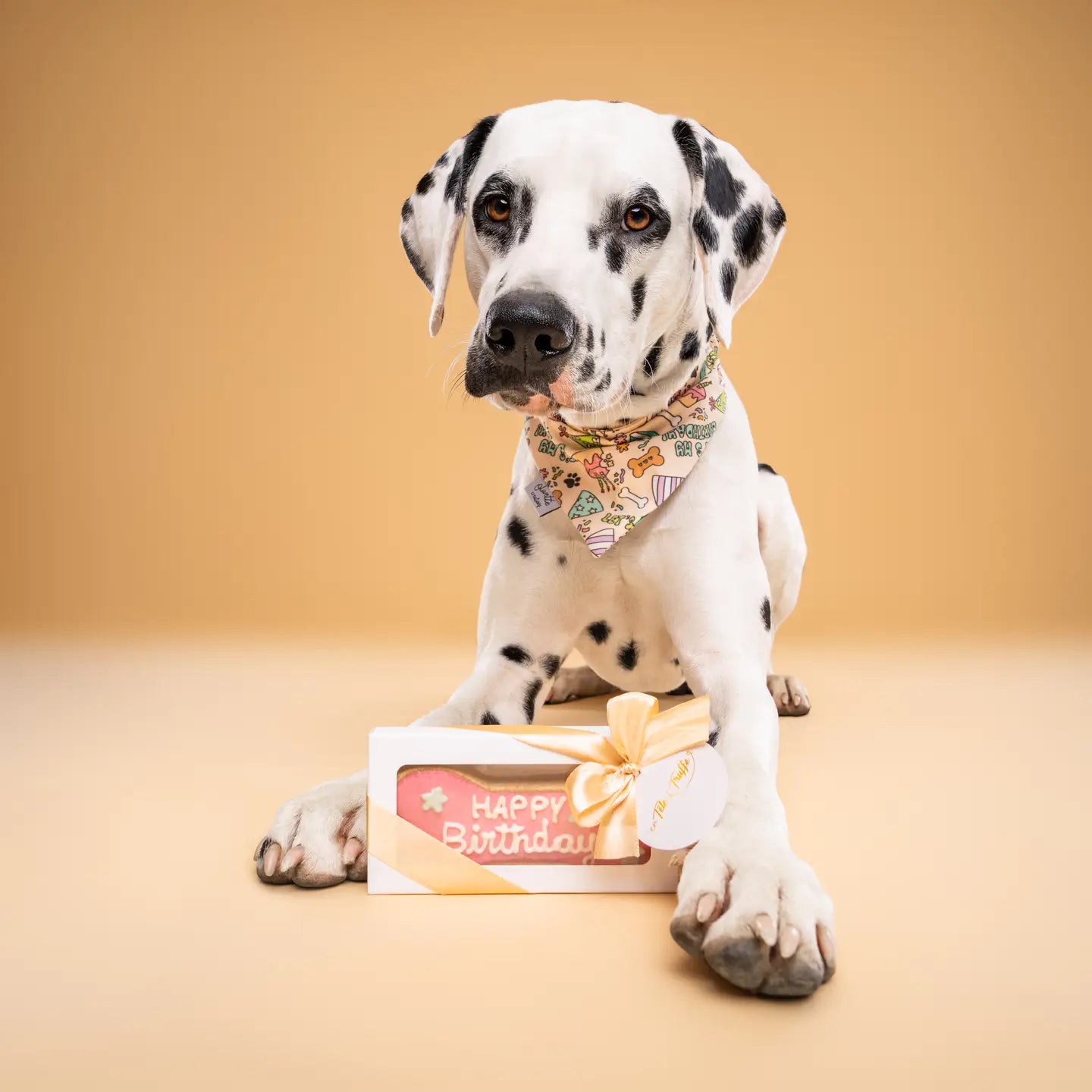 BISCUIT "HAPPY BIRTHDAY" - Boîte cadeaux