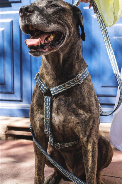 HARNAIS - Jeanny denim