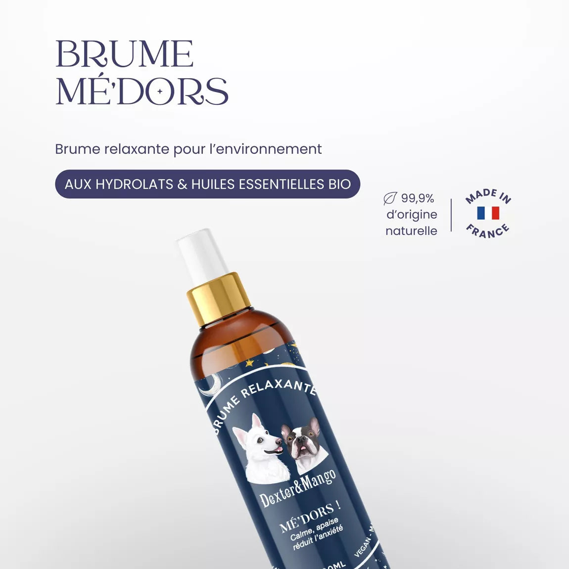 BRUME APAISANTE - Chien