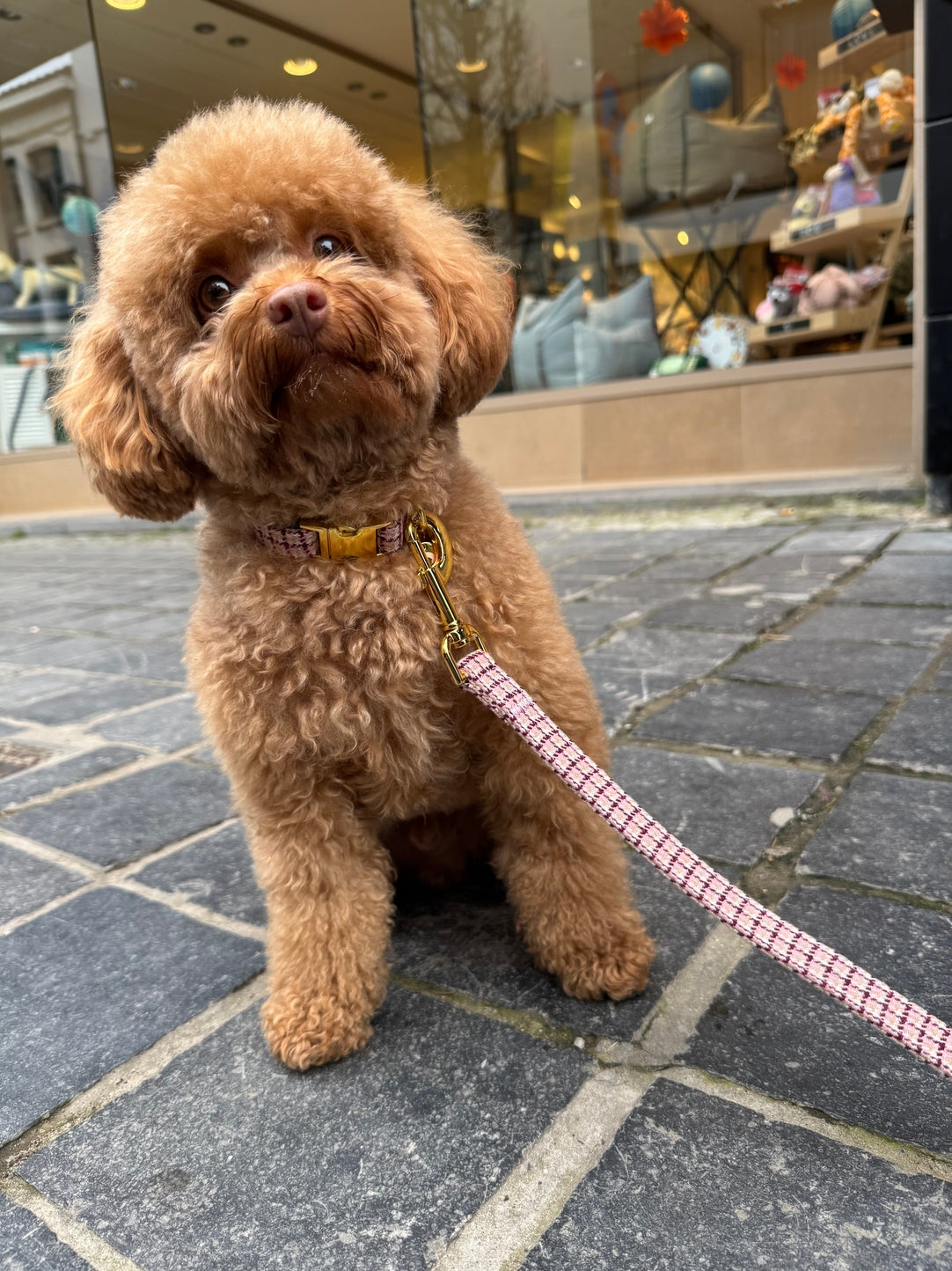COLLIER POUR CHIEN - Pied-de-poule rose