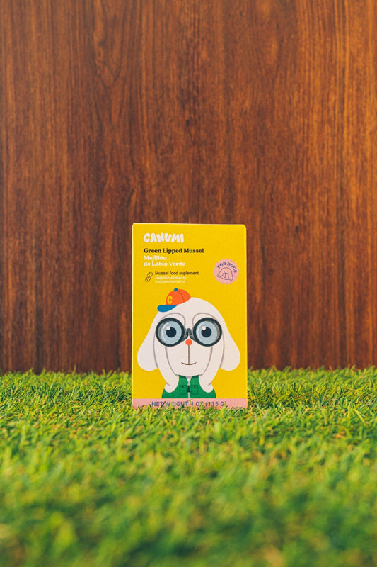 MOULE À LÈVRES VERTES - Chiens