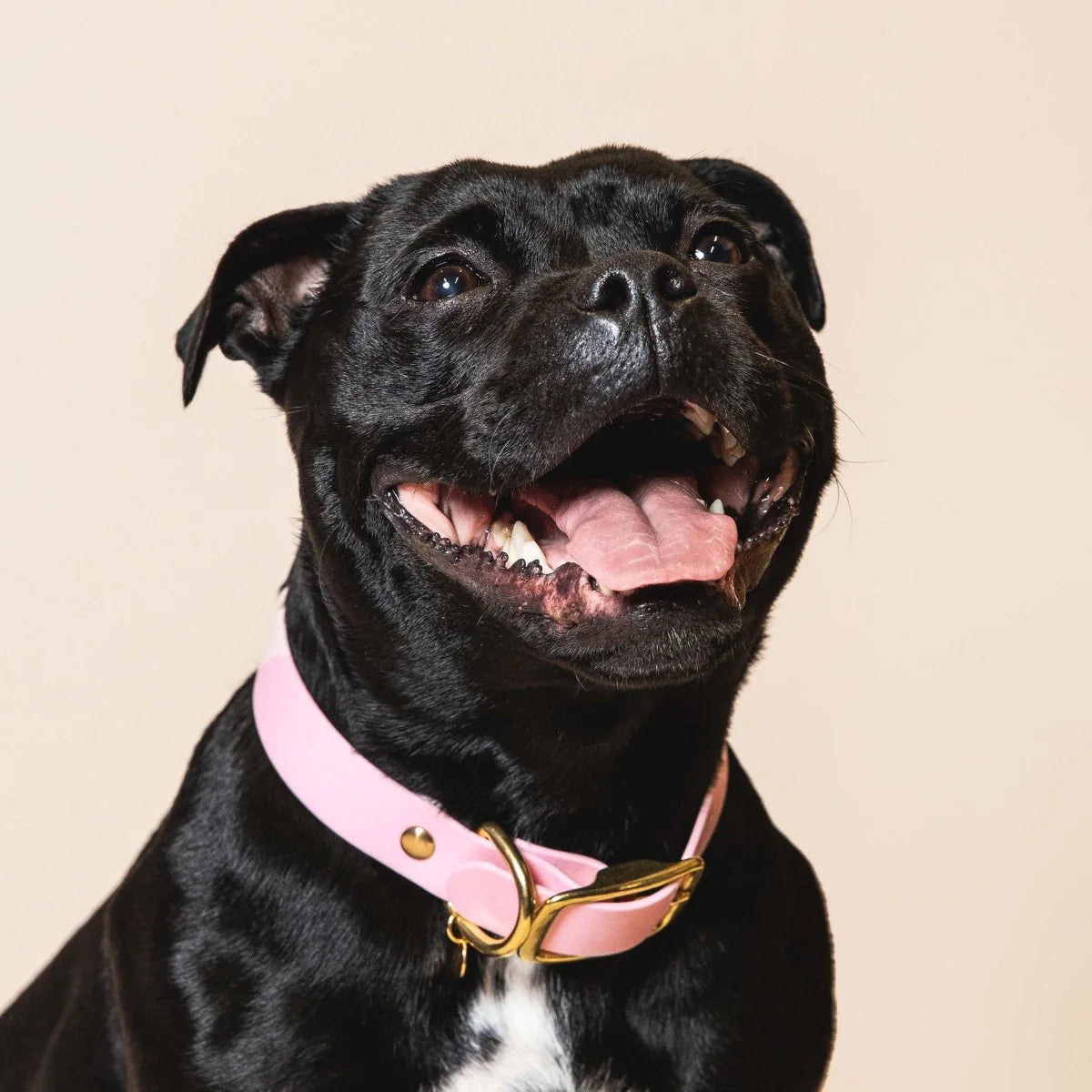 COLLIER IMPERMÉABLE - Baby rose