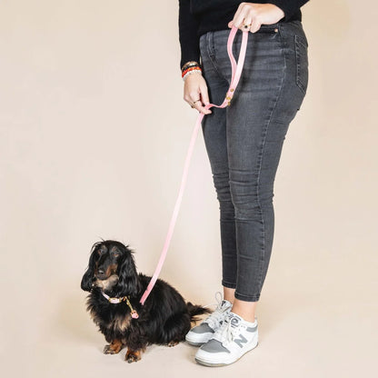 LAISSE IMPERMÉABLE - Baby rose