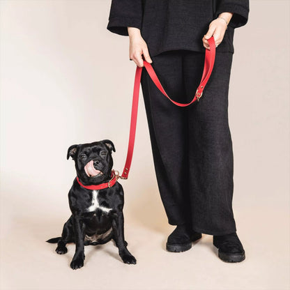 LAISSE IMPERMÉABLE - Bordeaux