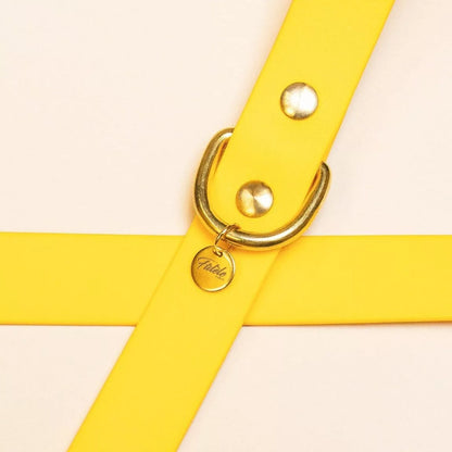 LAISSE IMPERMÉABLE - Jaune