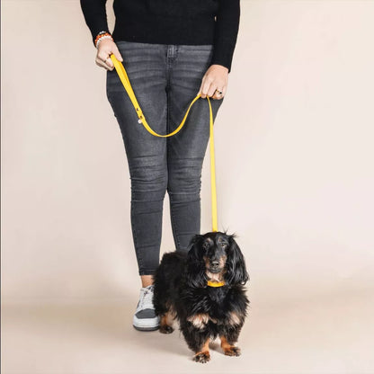 LAISSE IMPERMÉABLE - Jaune