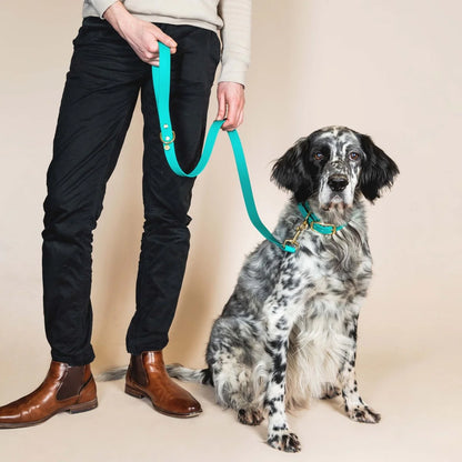 LAISSE IMPERMÉABLE - Bleu Paon