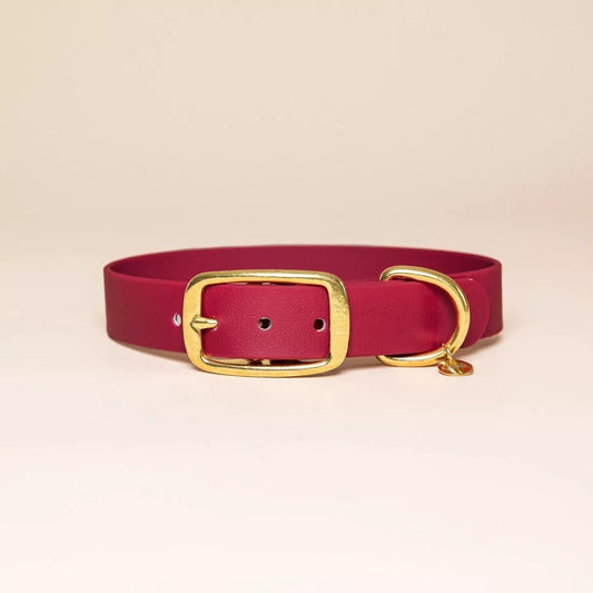 Collier imperméable - Bordeaux