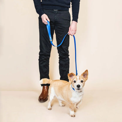 LAISSE IMPERMÉABLE - Bleu roi