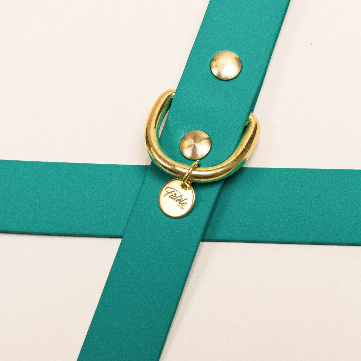 LAISSE IMPERMÉABLE - Bleu Paon