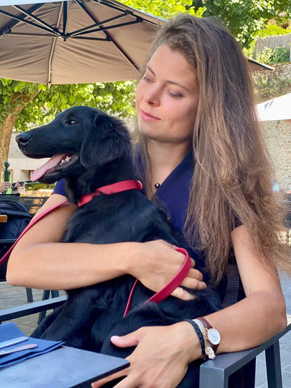 Collier imperméable - Bordeaux