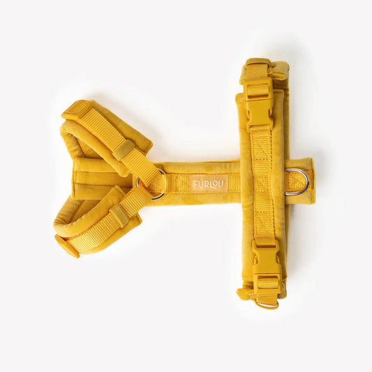 HARNAIS CONFORT - Jaune