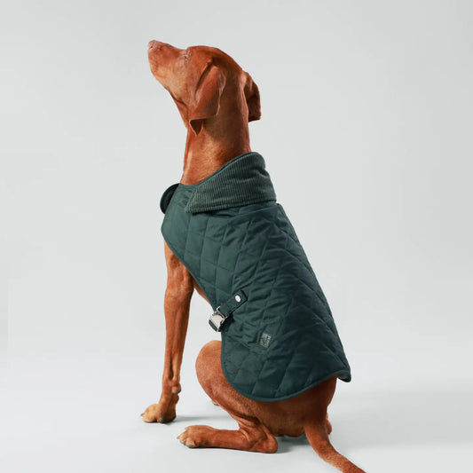 Veste matelassée - Vert sapin