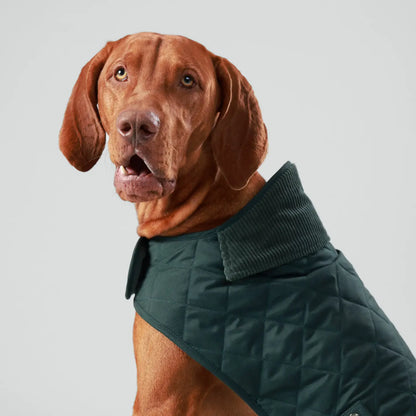 Veste matelassée - Vert sapin