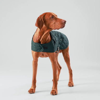 Veste matelassée - Vert sapin