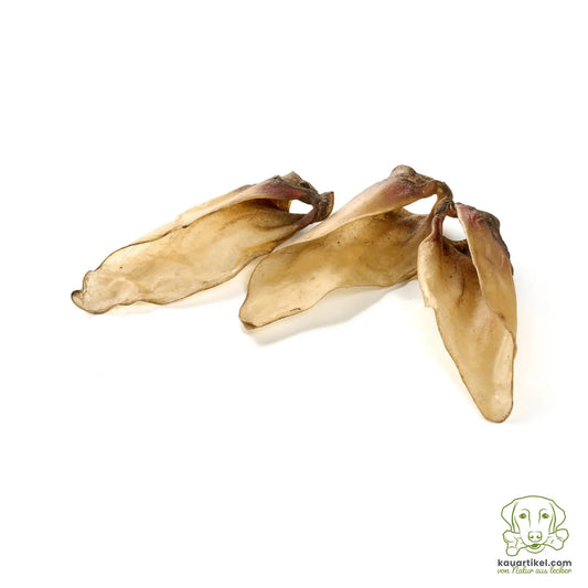 MASTICATION NATURELLE - Oreille de veau