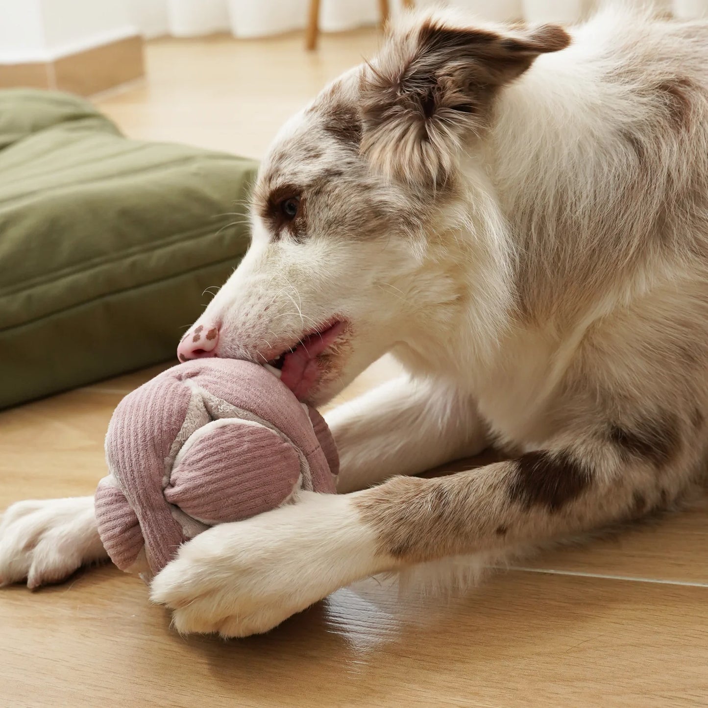 JOUET INTÉRACTIF - Monti rose