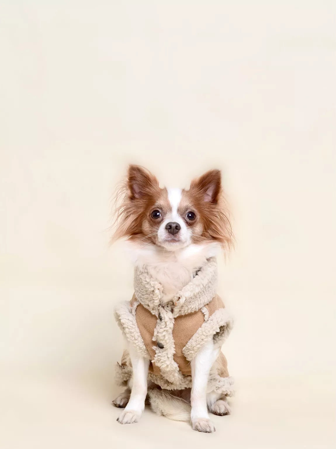 MANTEAU FOURRURE - Camel