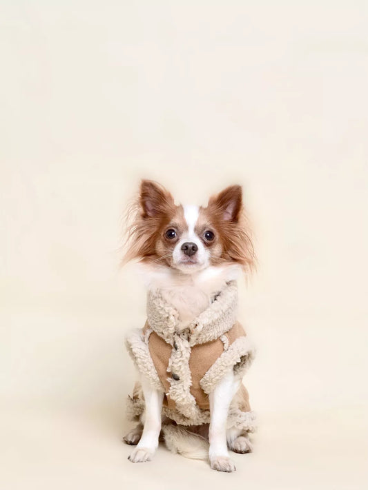 MANTEAU FOURRURE - Camel