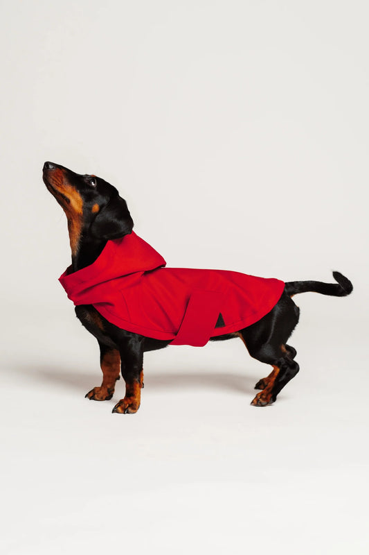 MANTEAU IMPERMÉABLE - Rouge