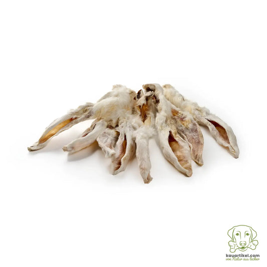 MASTICATION NATURELLE - Oreille de lapin, fourrure qualité supérieure