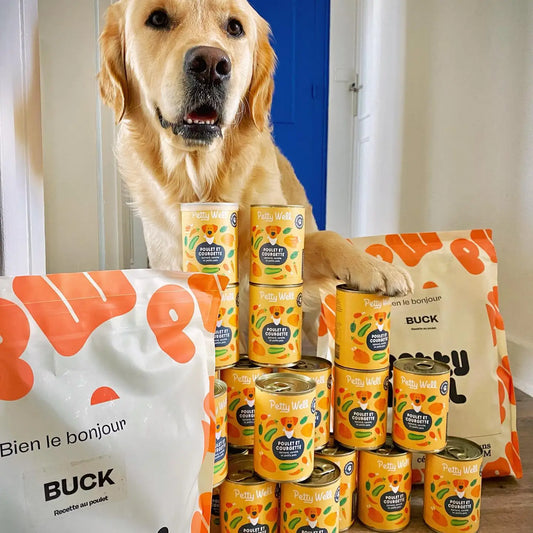 PÂTÉES - Poulet & Courgettes 400g