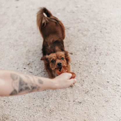 JOUET RÉSINE ORGANIQUE - Chain