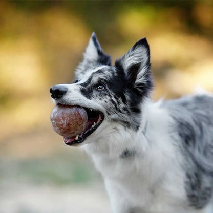 JOUET RÉSINE ORGANIQUE - Strong ball L