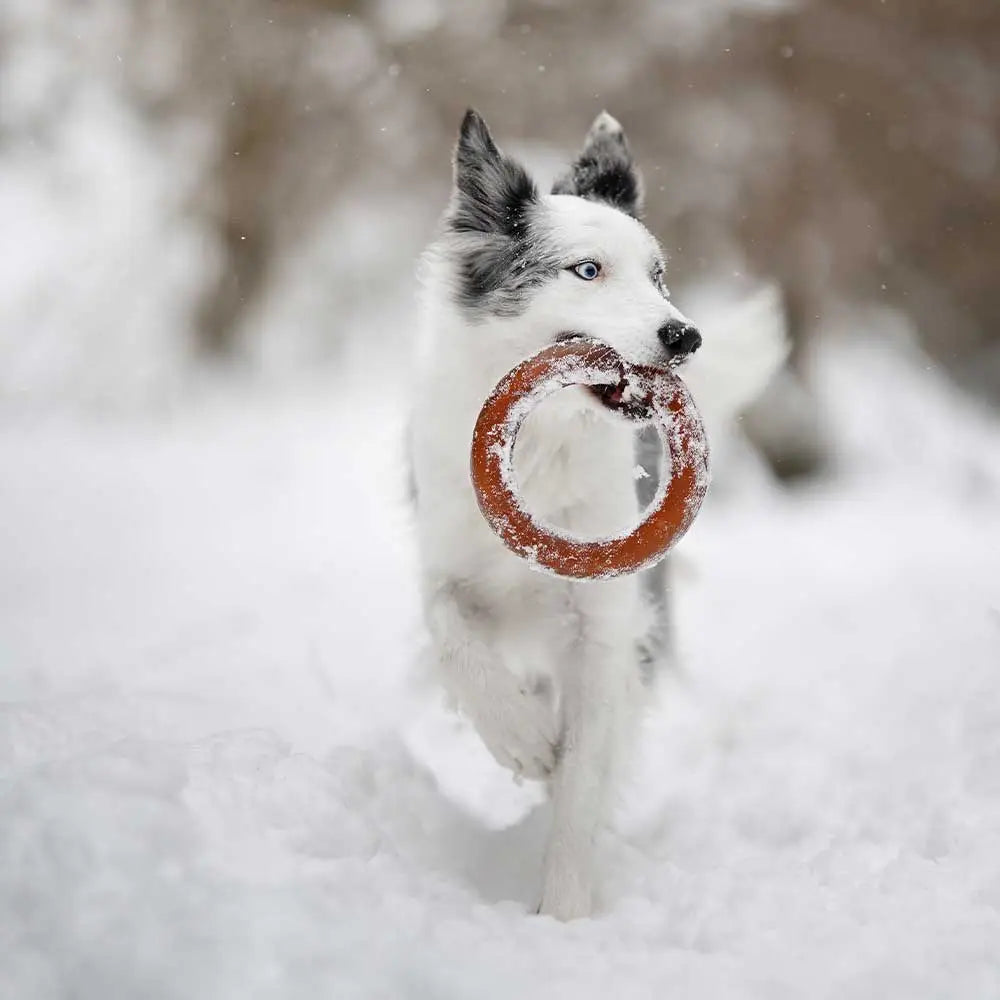 JOUET RÉSINE ORGANIQUE -Bite
