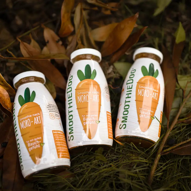 SMOOTHIE - Carottes