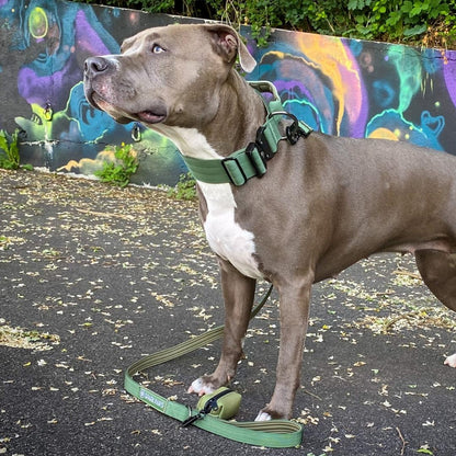 COLLIER TACTIQUE - Vert militaire