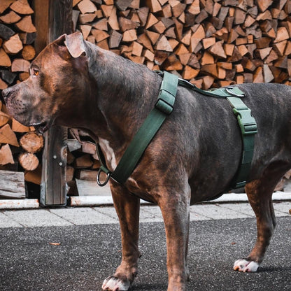 HARNAIS DE CONTRÔLE ANTI TRACTION - Vert militaire