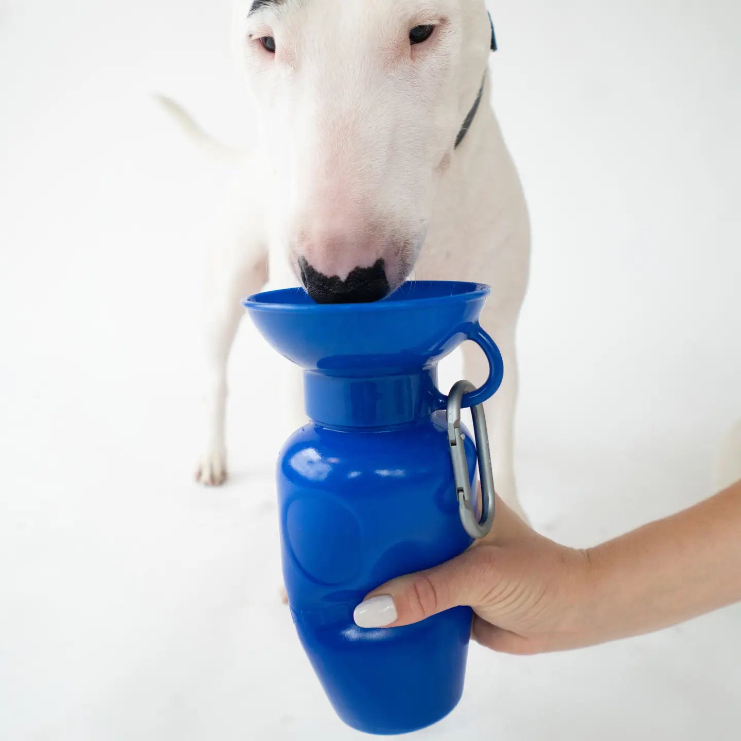 GOURDE DE VOYAGE - Bleu