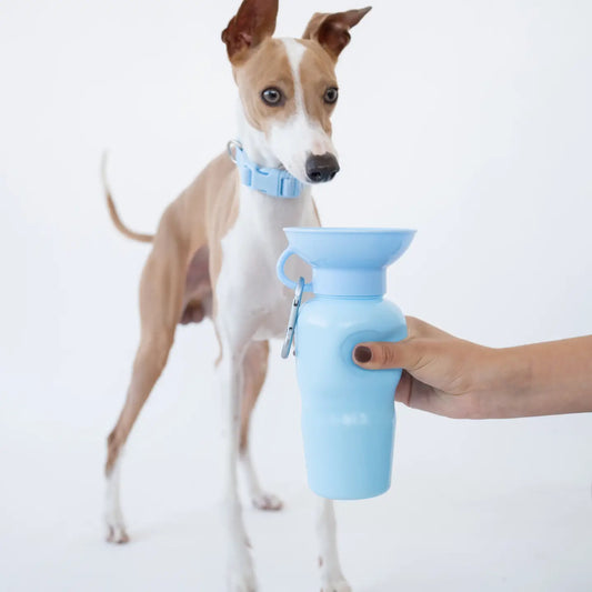 GOURDE DE VOYAGE - Bleu ciel