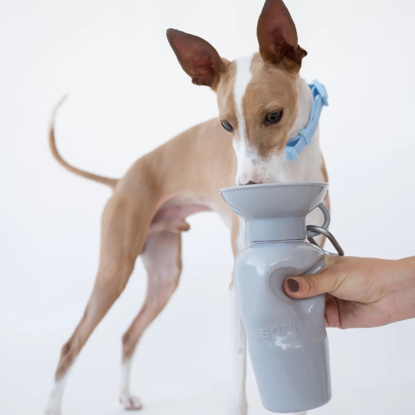 GOURDE DE VOYAGE - Gris