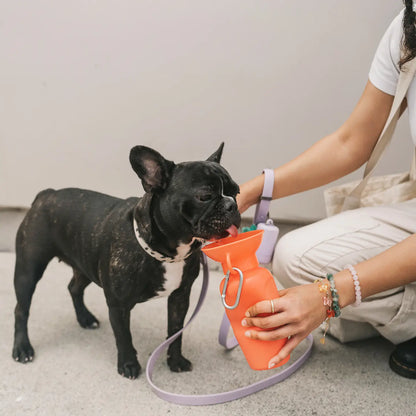 GOURDE DE VOYAGE - Orange